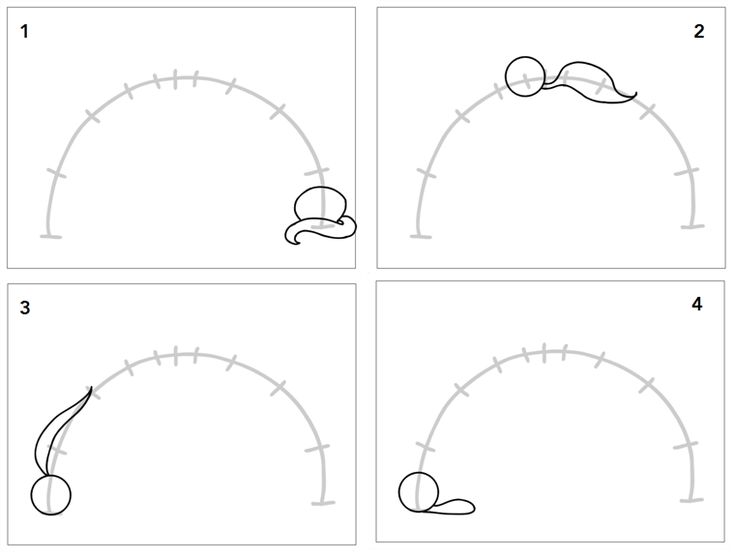 four different stages of drawing with numbers and lines to make it look like an instrument