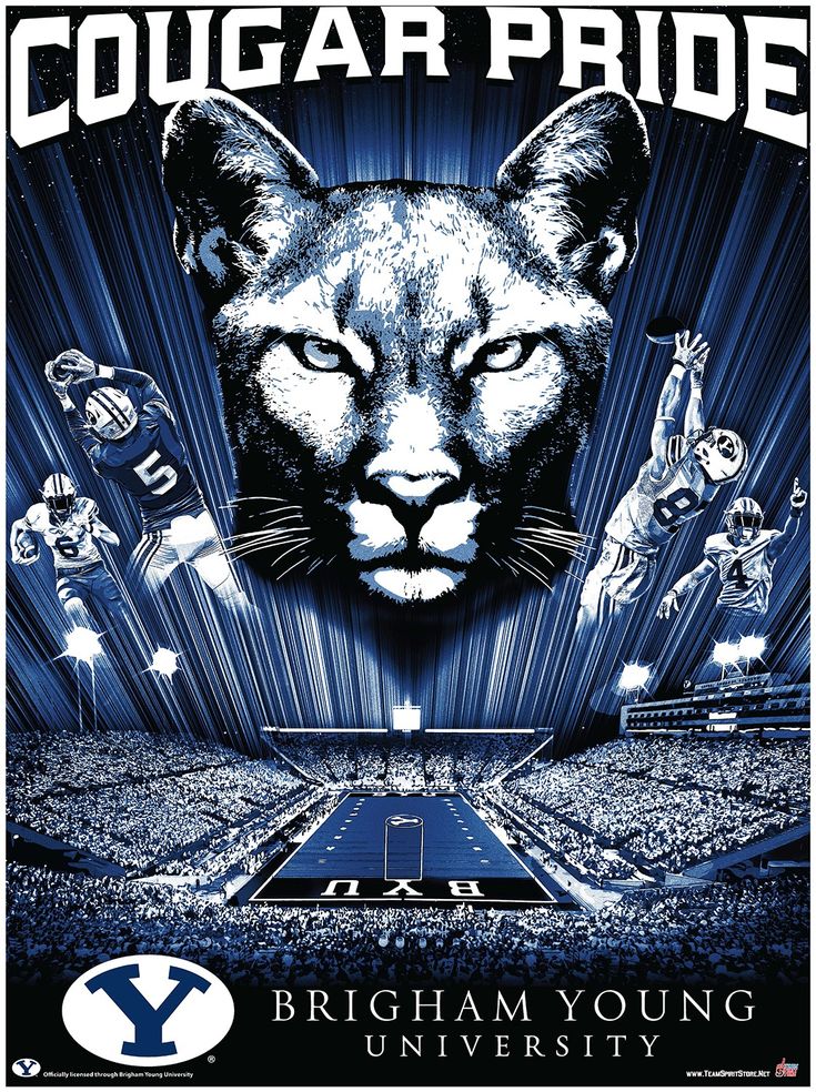 a poster with an image of a cougar in the center and other sports related items surrounding it