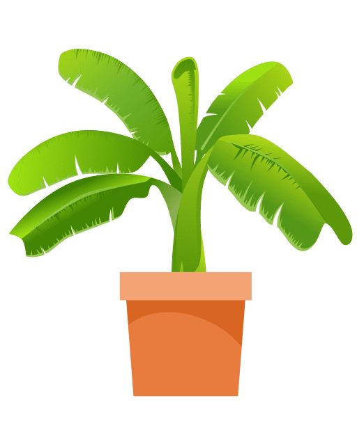 a potted plant with green leaves is shown on a white background and has an orange base