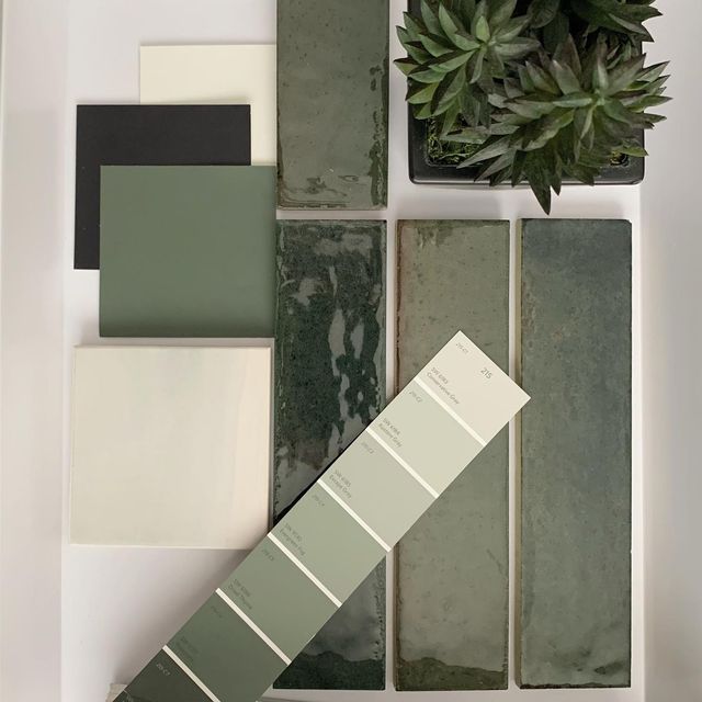 some green and white paint swatches are arranged on a table next to a potted plant