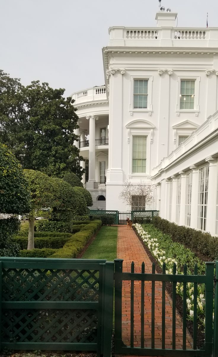 the white house is surrounded by hedges and trees