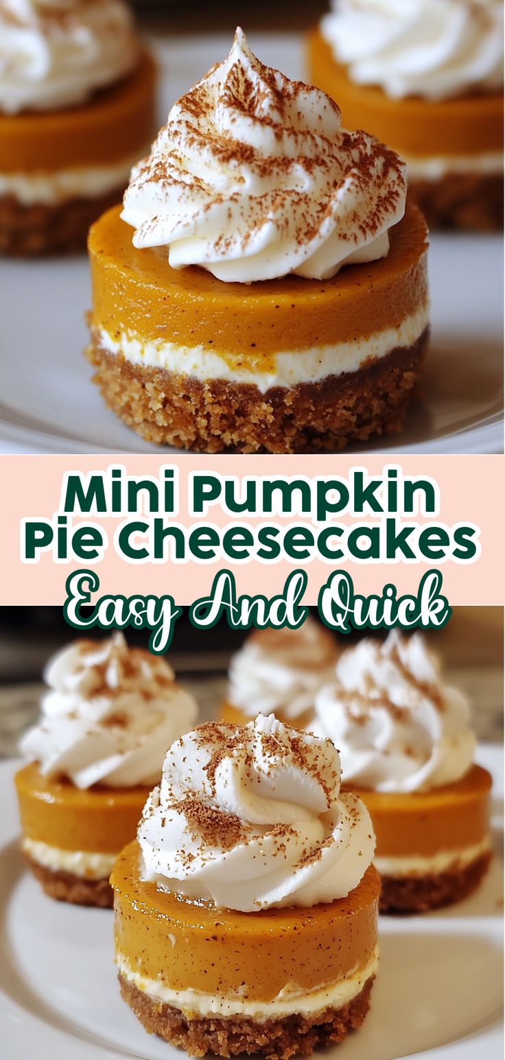 mini pumpkin pie cheesecakes are easy and quick