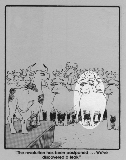 an old cartoon with cows standing in front of them