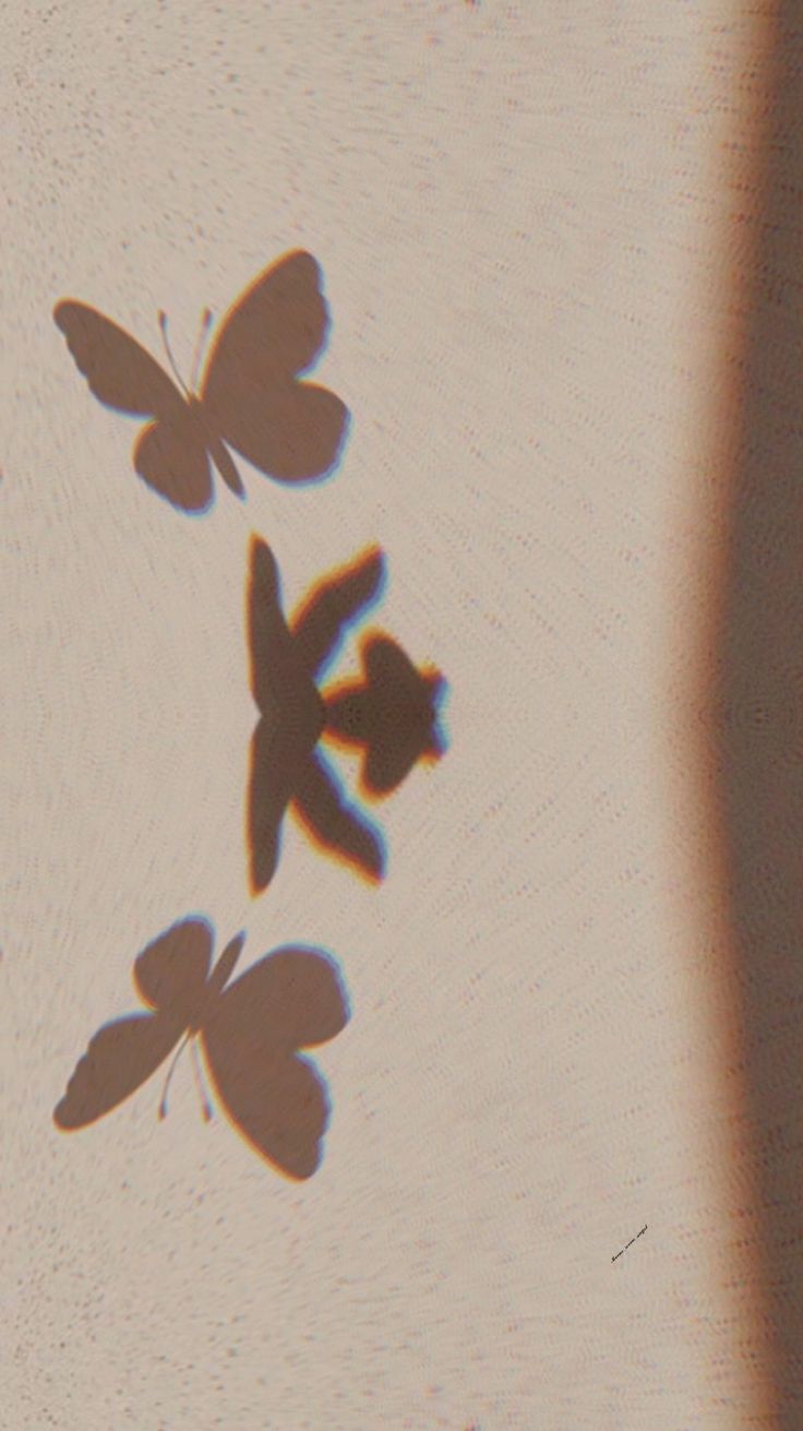 Butterfly 🦋 wallpaper Wallpaper Shadow, Emo Wallpaper, Aesthetic Pics, Butterfly Wallpaper, Aesthetic Pictures, Butter, Quick Saves