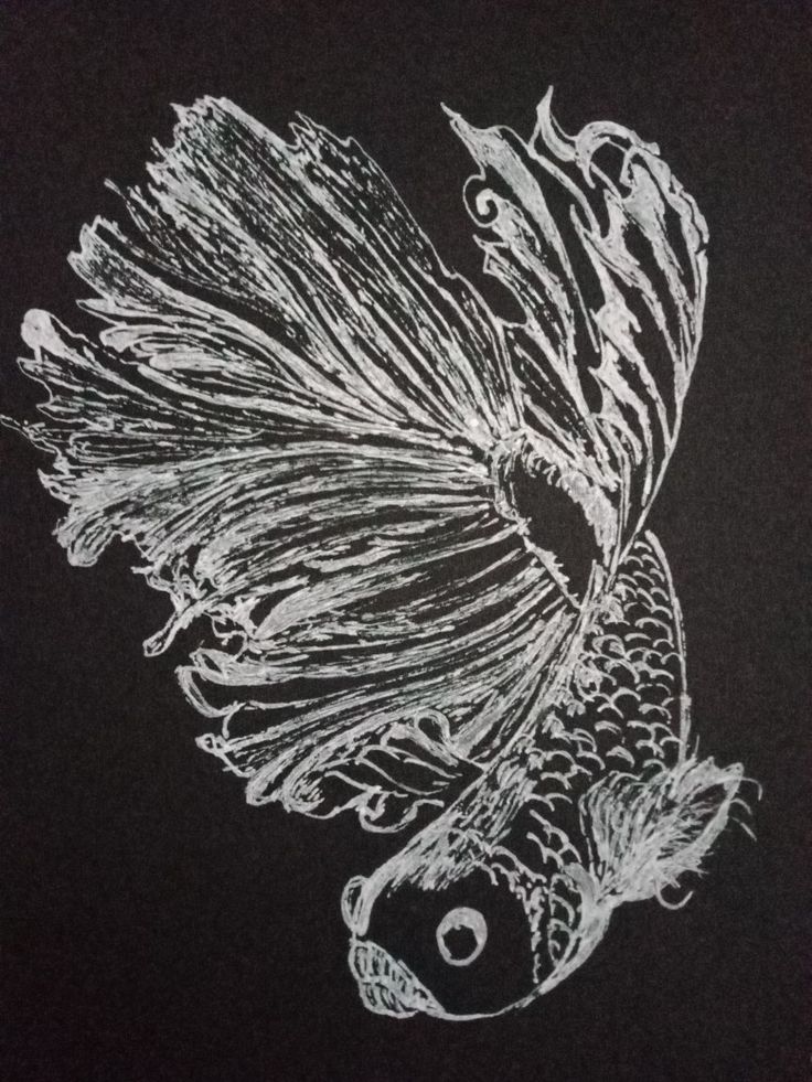 a black and white drawing of a fish