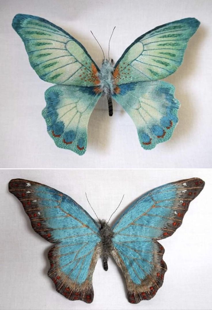 two pictures of butterflies with different colors and patterns on them, one is blue and the other is green