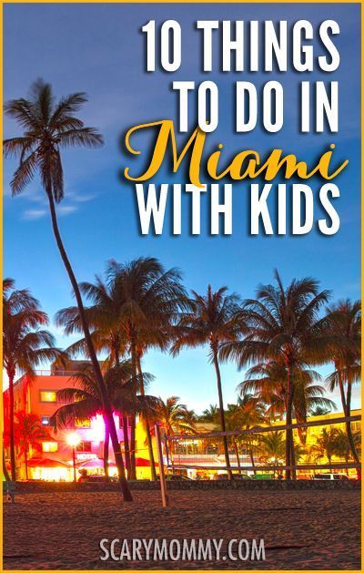 palm trees with the words 10 things to do in miami with kids overlayed