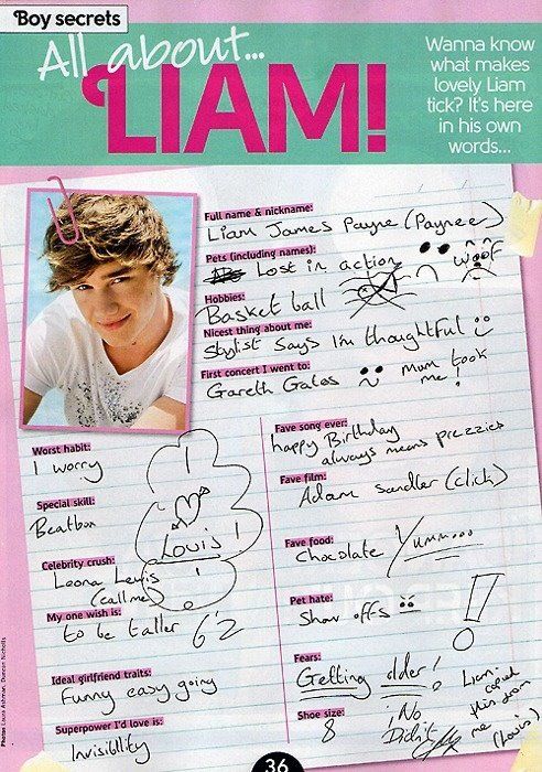 all about Liam. 1D Old One Direction, Liam Core, One Direction Facts, Gambar One Direction, Perfect Guy, One Direction Images, One Direction Wallpaper, One Direction Photos, Liam James