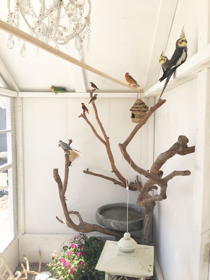 birds are perched on branches in the corner of a room with a chandelier