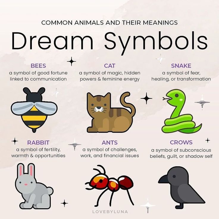 the different types of animals and their meaningss are shown in this graphic above it's description