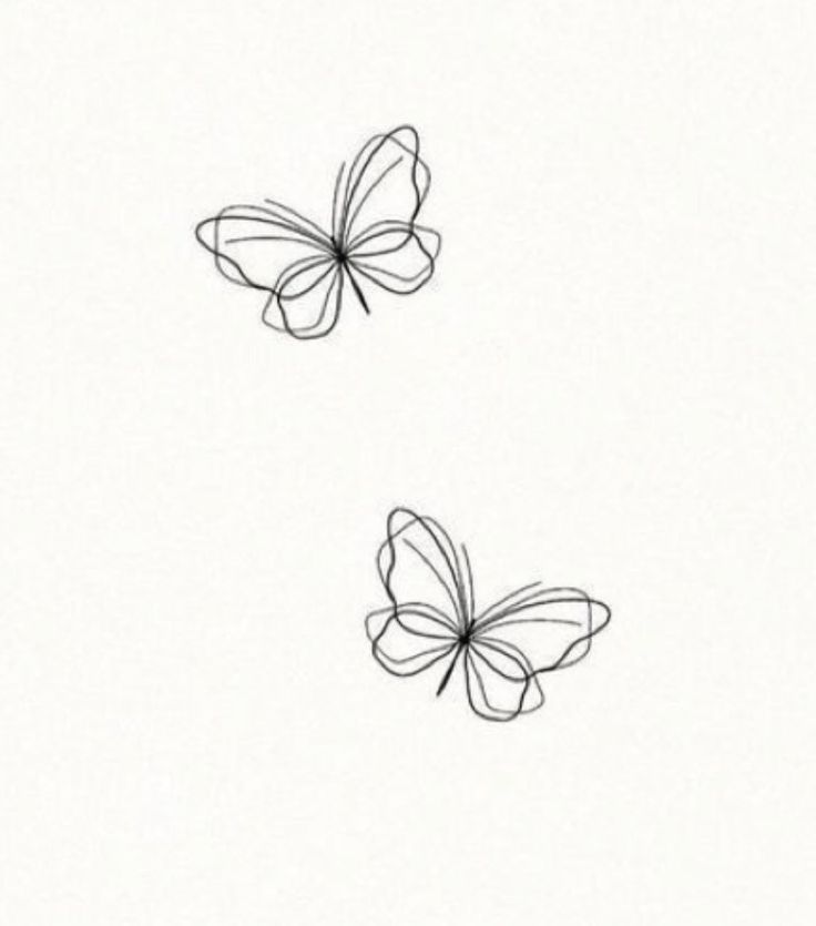 two butterflies flying side by side on a white background