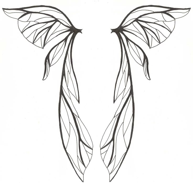 two wings that are drawn in black and white