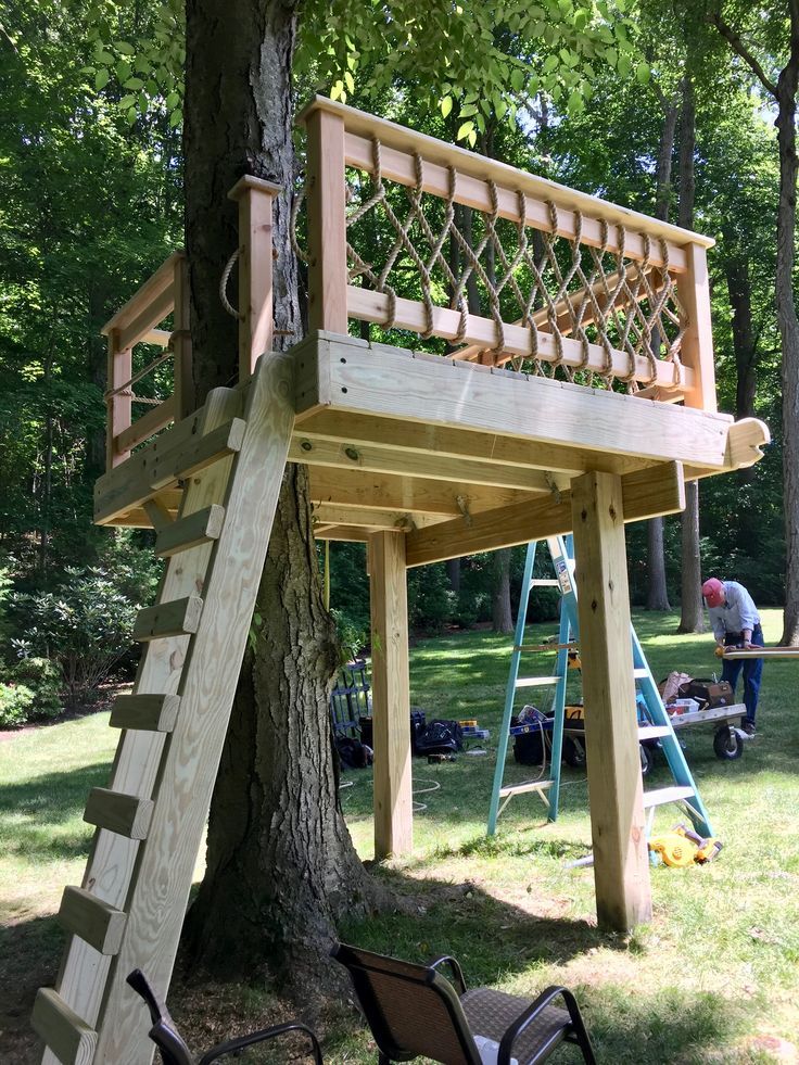 a tree house built into the side of a tree with a ladder up to it