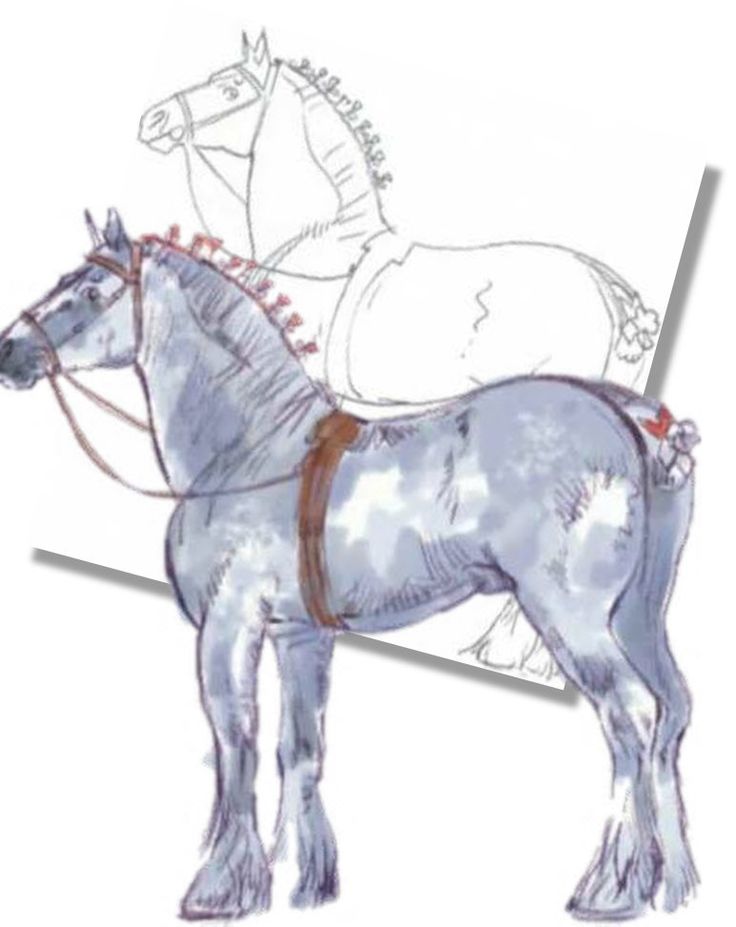 a drawing of a horse with saddles and bridles on it's back