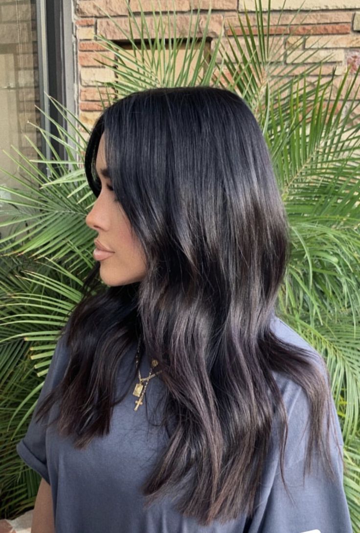 Black Mid Hair Length Styles, Dark Black Hair Medium Length, Medium Length Dark Brunette Hair, Mid Length Black Hairstyles, Medium Dark Hair With Layers, Dark Brown Mid Length Hair Straight, Black Collarbone Length Hair, Jet Black Hair Shoulder Length, Hair Black With Highlights