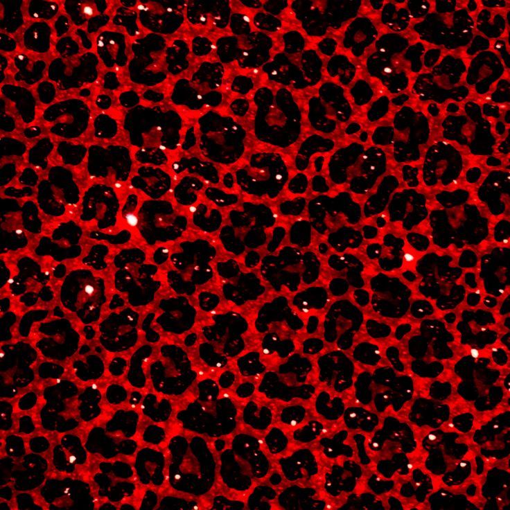 red and black animal print background