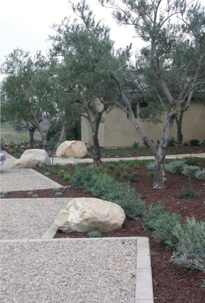 an outdoor garden with rocks and trees