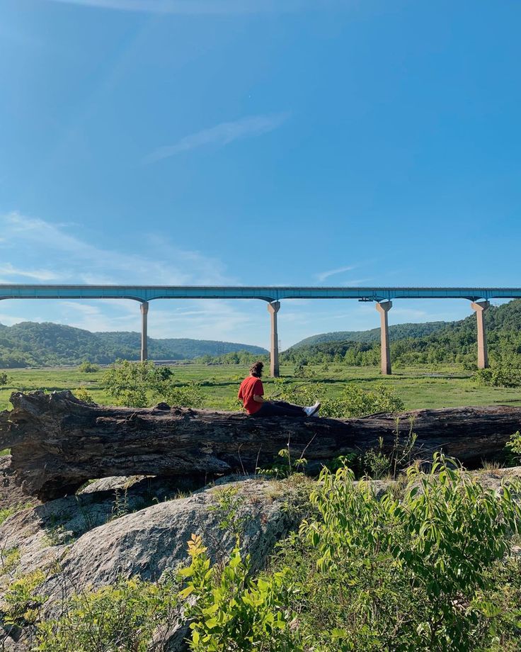 a man sitting on top of a log in front of a large bridge over water