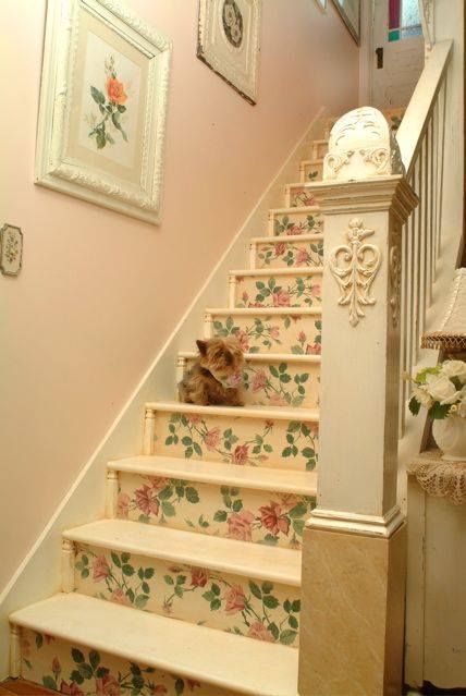 there is a cat sitting on the stairs in this house with floral wallpapers