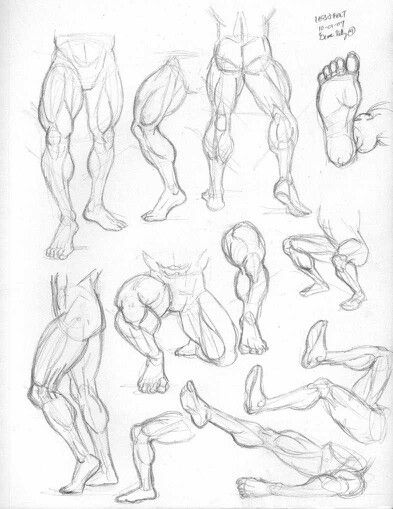 a bunch of different poses and muscles drawn in pencil