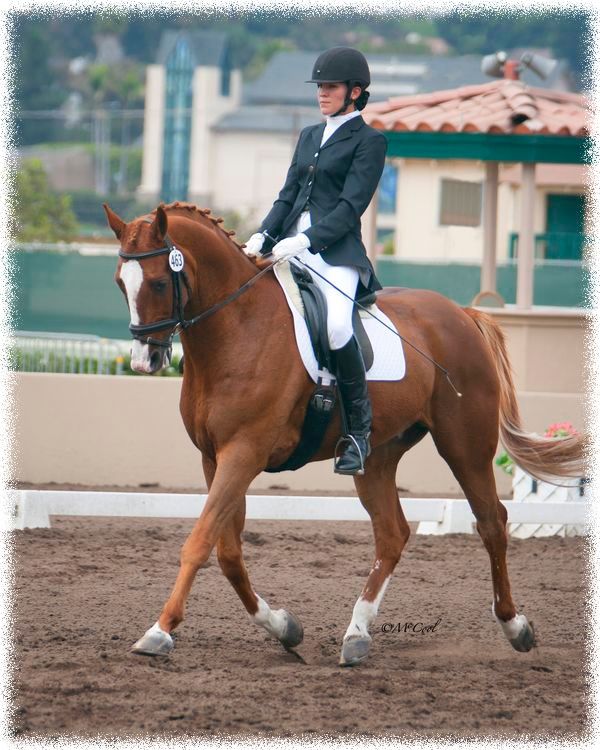 a woman riding on the back of a brown horse next to a white fence and spectators