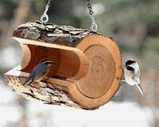 two small birds are perched on a bird feeder hanging from chains that hold wood slices