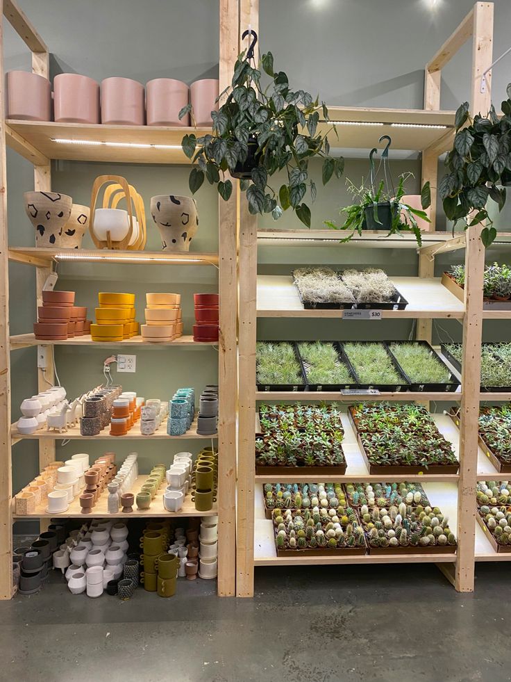 the shelves are filled with plants and potted plants