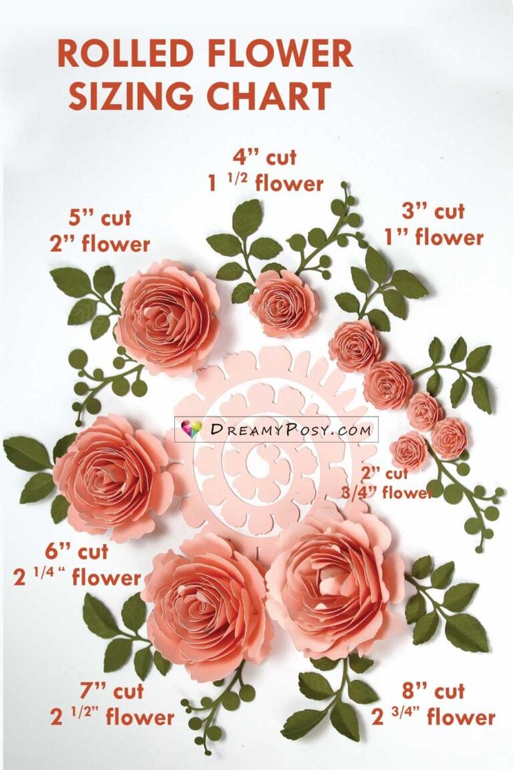 the instructions for how to make rolled flower sizing chart with paper flowers and leaves