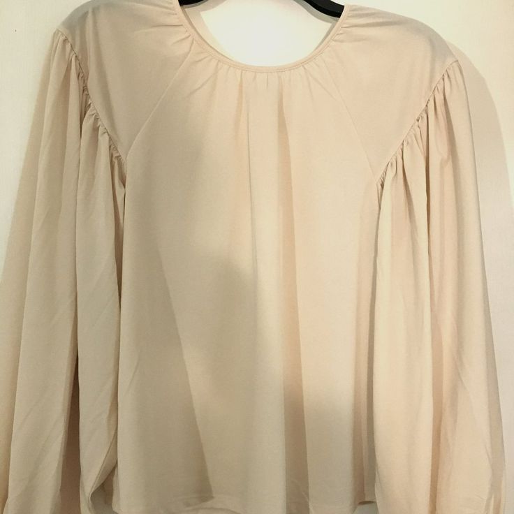 Beige Georgette Chiffon Blouse Dolman Sleeves Cuffs Allows For Length Of Sleeves This Is The Same Style And Description Of The Black Dressy Chiffon Blouse Next To This Listing New With Tags Fitted Beige Chiffon Blouse, Chiffon Blouse With Sheer Sleeves For Spring, Sheer Chiffon Blouse For Work, Chiffon Blouse With Sheer Sleeves For Work, Chic Long Sleeve Chiffon Blouse, Feminine Beige Blouse With Lantern Sleeves, Feminine Chiffon Blouse For Brunch, Elegant Beige Tops With Blouson Sleeves, Brunch Blouse With Blouson Bishop Sleeves