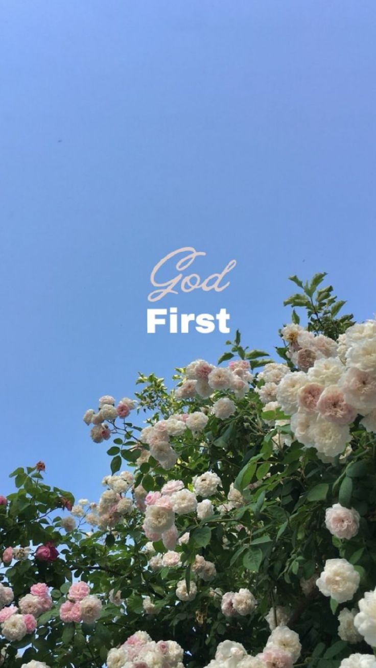 white flowers with the words god first in front of them and blue sky behind it