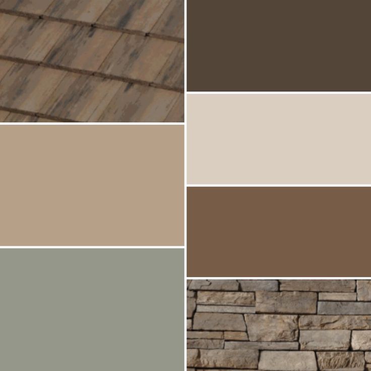 several different shades of brown and tan are shown in this image, with the same color scheme