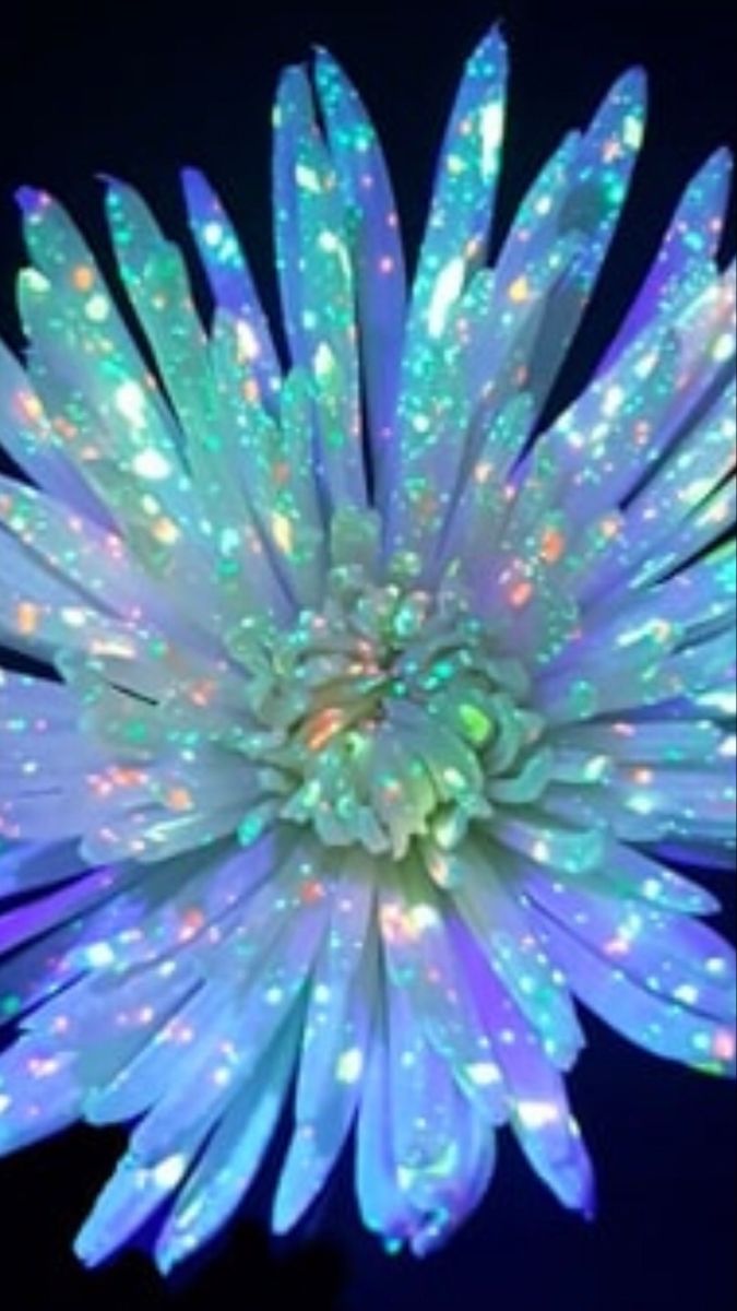 a white flower with blue and green lights on it