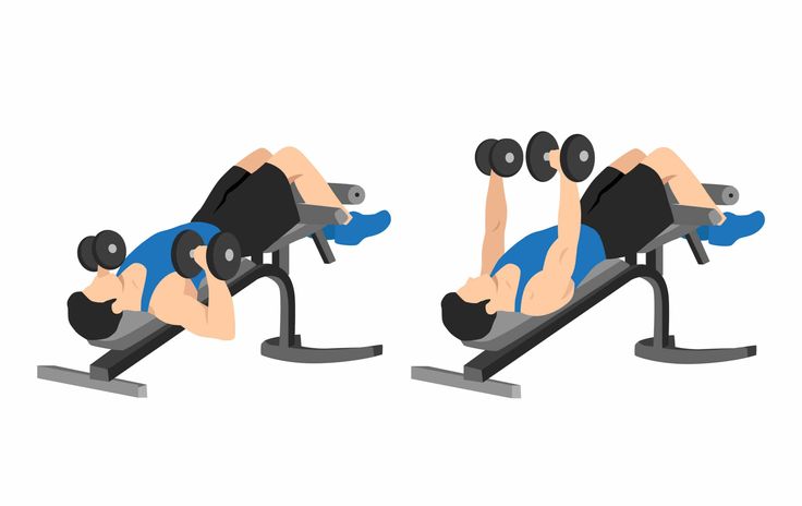 a man is doing an incline on a bench with dumbbells in front of him