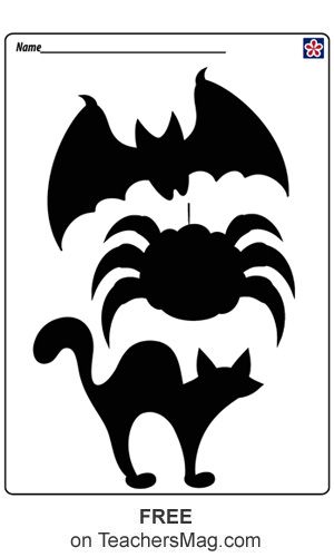 a black and white image of a cat with bats on it