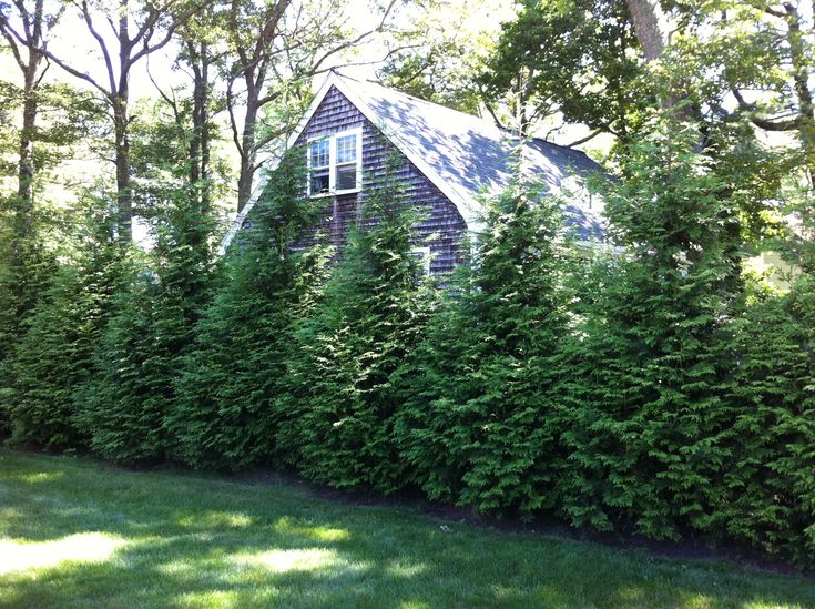 a house surrounded by trees and bushes