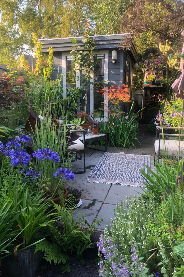 an outdoor garden with lots of plants and flowers