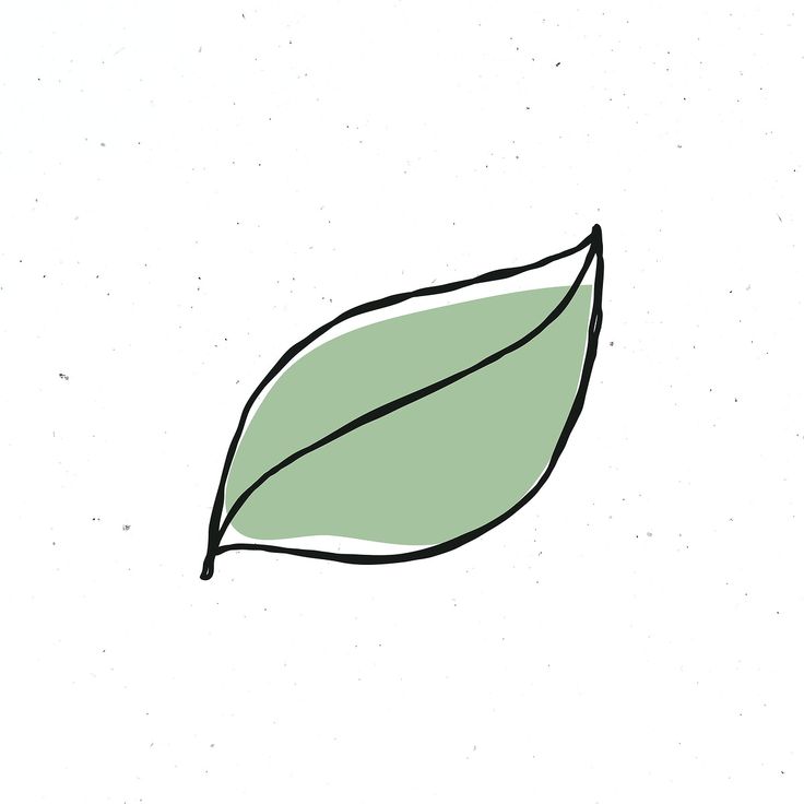 a drawing of a green leaf on a white background