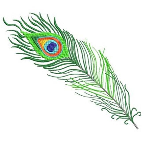 a peacock feather with green feathers on it's tip and an orange eyeball in the center