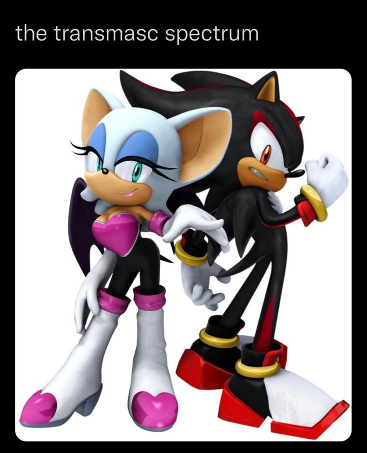 Rouge Shadow, Shadow Rouge, Shadow And Rouge, Sonic Adventure 2, Rouge The Bat, Sonic Franchise, Sonic Adventure, Sonic And Shadow, Group Pictures