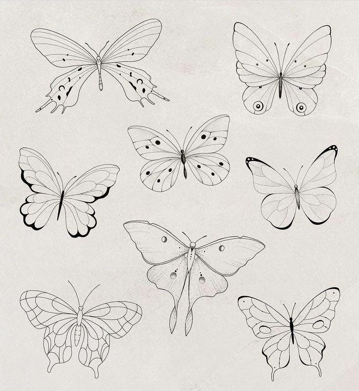 a bunch of butterflies that are drawn in black and white ink on a piece of paper