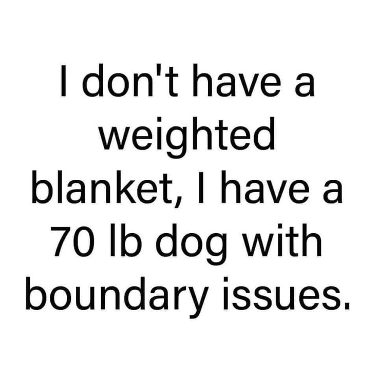 i don't have a weighted blanket, i have a 70lb dog with boundary issues