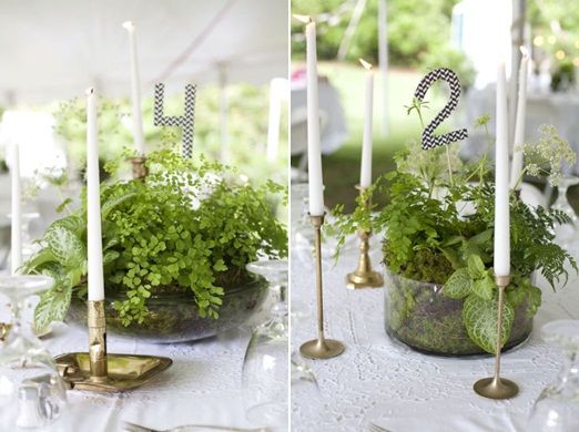 the table is set with candles and plants