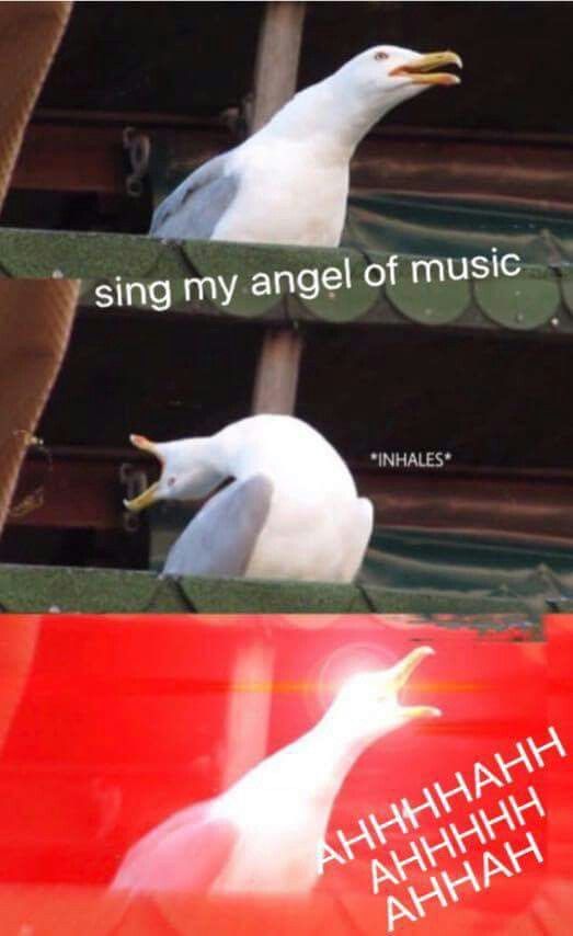 a white bird sitting on top of a red sign next to a seagull