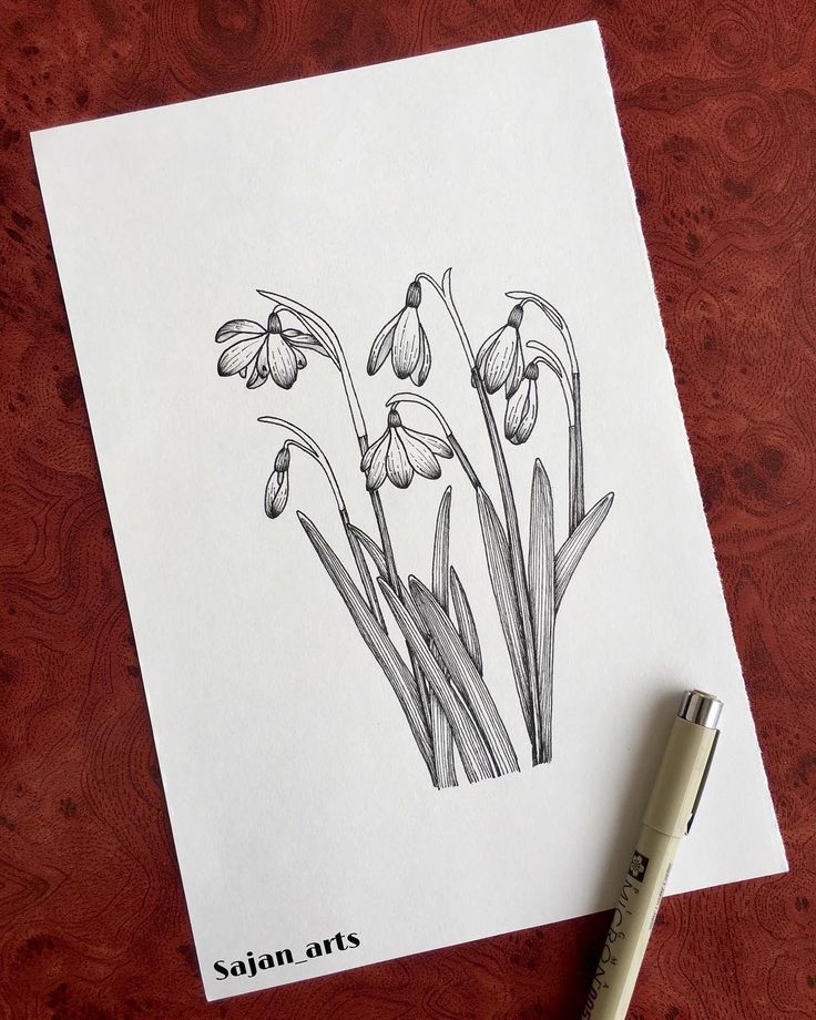 a drawing of some flowers sitting on top of a table next to a pen and paper