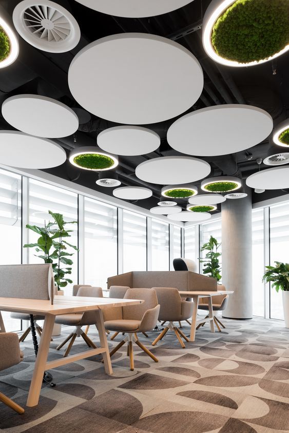 a conference room with round lights and plants on the ceiling, along with chairs and tables