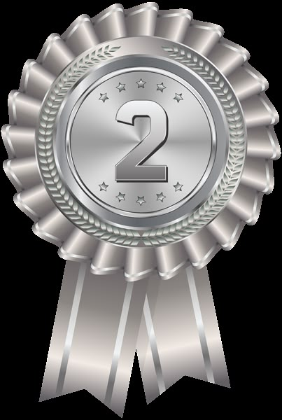 a silver award medal with the number two on it's side and stars in the middle