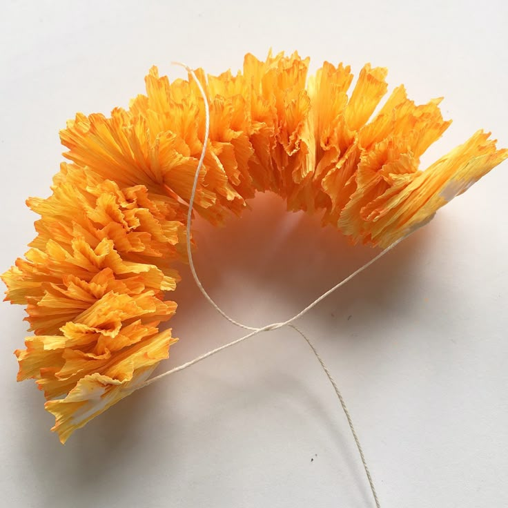 two yellow flowers are tied together on a white surface with twine in the middle