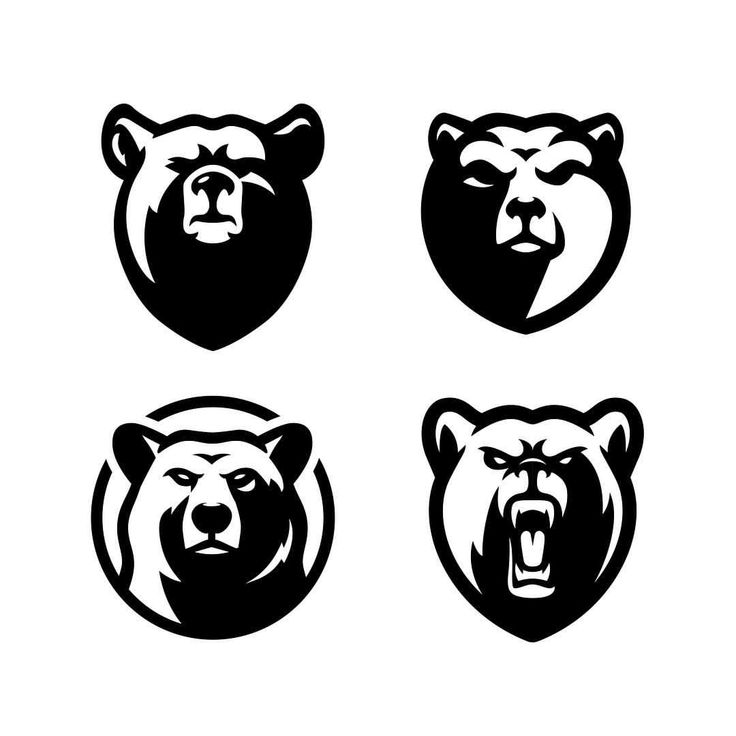 four bear heads with different expressions in black and white, on a white background illustration