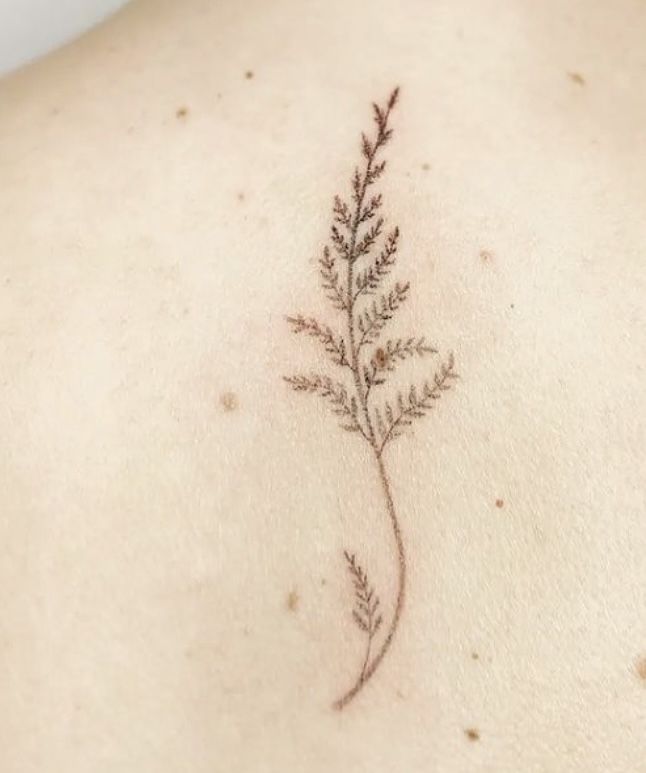 a small tattoo on the back of a woman's upper arm and shoulder, with a plant growing out of it