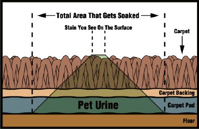 a diagram showing the different types of soil